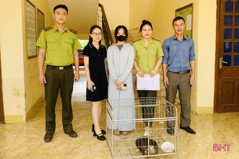 Bàn giao cá thể chim diều hoa Miến Điện cho Vườn Quốc gia Vũ Quang