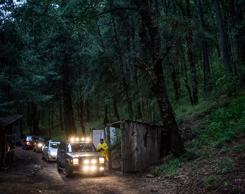 Vũ điệu ánh sáng ở khu bảo tồn đom đóm