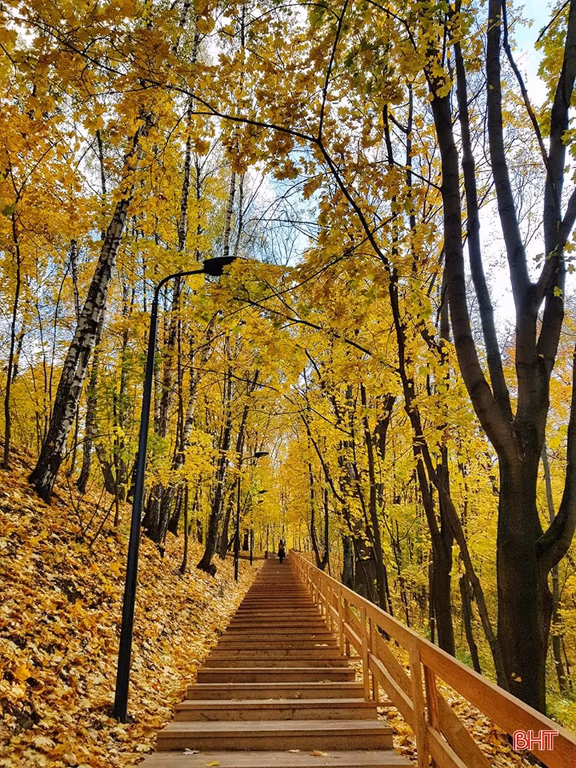 Mơ màng mùa thu vàng nước Nga dưới ống kính của du học sinh Hà Tĩnh