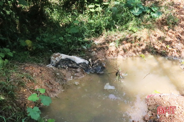 Kinh hãi xác lợn chết bị vứt trôi nổi tại xã Phú Lộc