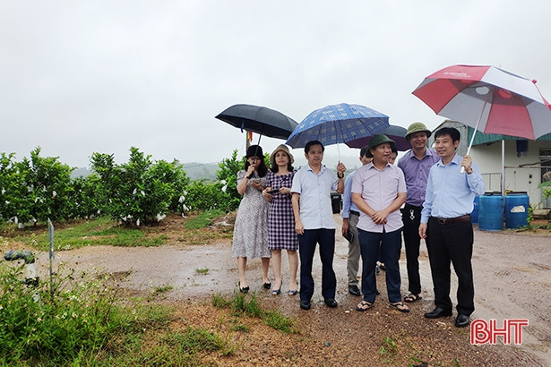 Hội Nông dân Việt Nam đánh giá cao hiệu quả các mô hình sản xuất của Can Lộc