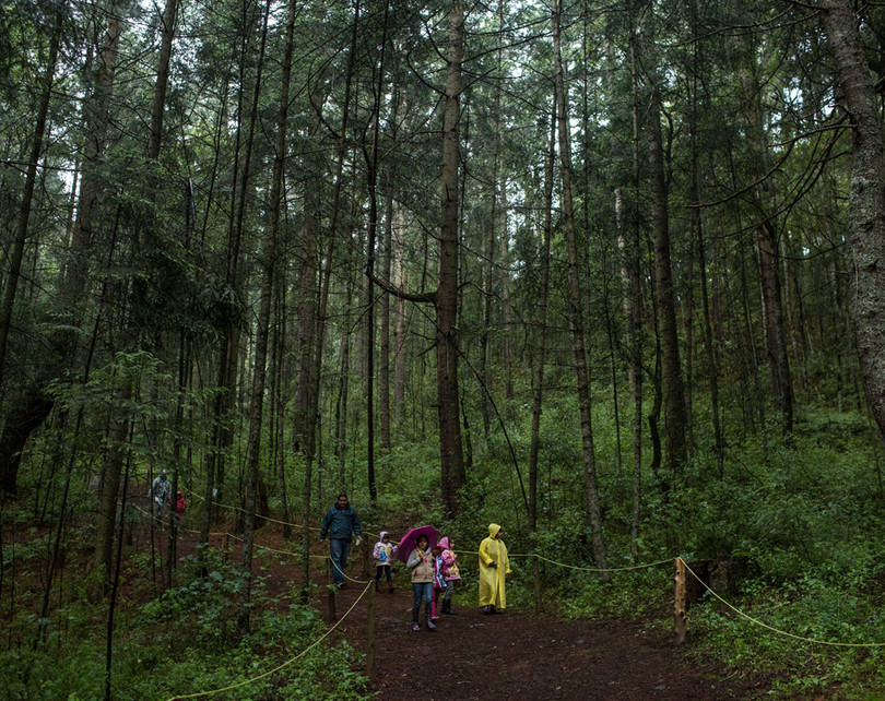 Vũ điệu ánh sáng ở khu bảo tồn đom đóm