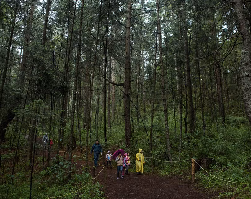 Vũ điệu ánh sáng ở khu bảo tồn đom đóm