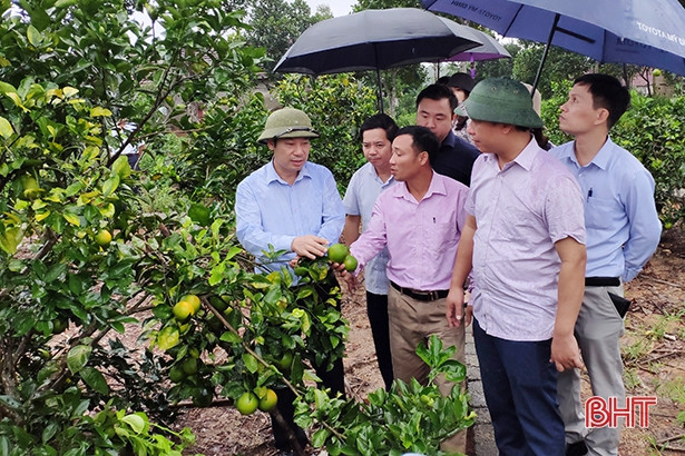 Hội Nông dân Việt Nam đánh giá cao hiệu quả các mô hình sản xuất của Can Lộc