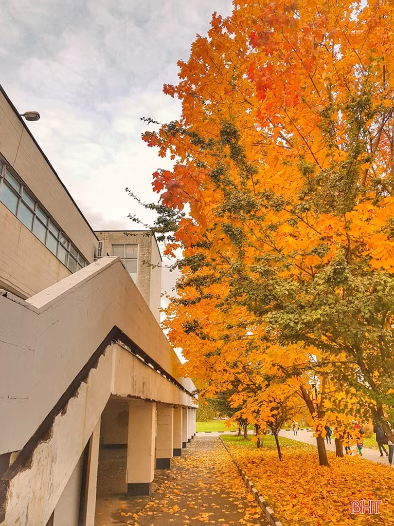 Mơ màng mùa thu vàng nước Nga dưới ống kính của du học sinh Hà Tĩnh