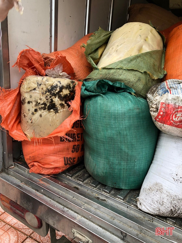 Hà Tĩnh phát hiện và tiêu hủy 1.180 kg mỡ động vật hôi thối 