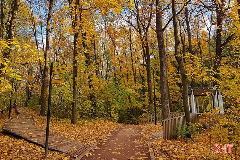 Mơ màng mùa thu vàng nước Nga dưới ống kính của du học sinh Hà Tĩnh