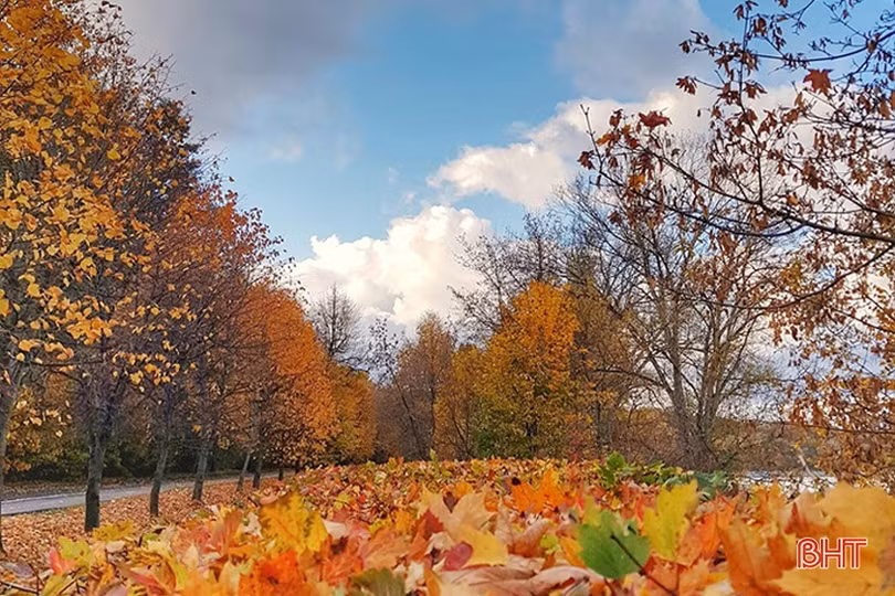 Mơ màng mùa thu vàng nước Nga dưới ống kính của du học sinh Hà Tĩnh