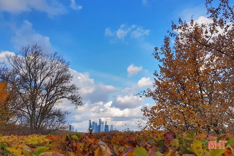 Mơ màng mùa thu vàng nước Nga dưới ống kính của du học sinh Hà Tĩnh