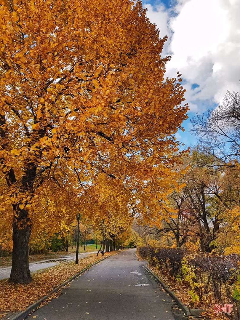 Mơ màng mùa thu vàng nước Nga dưới ống kính của du học sinh Hà Tĩnh