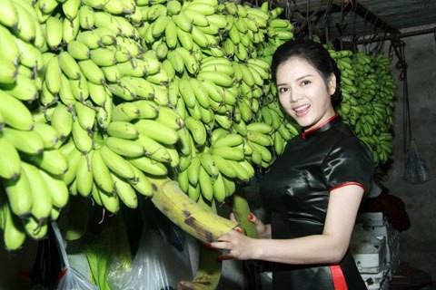 Chuối Ngự trước kia dành để tiến vua.