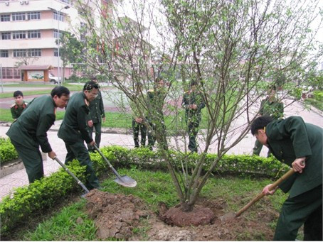 CBCS Bộ CHQS tỉnh trồng cây trong khuôn viên Tỉnh đội Hà Tĩnh