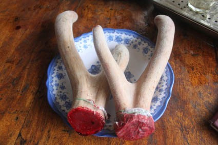 Sản phẩm nhung hươu Hương Sơn