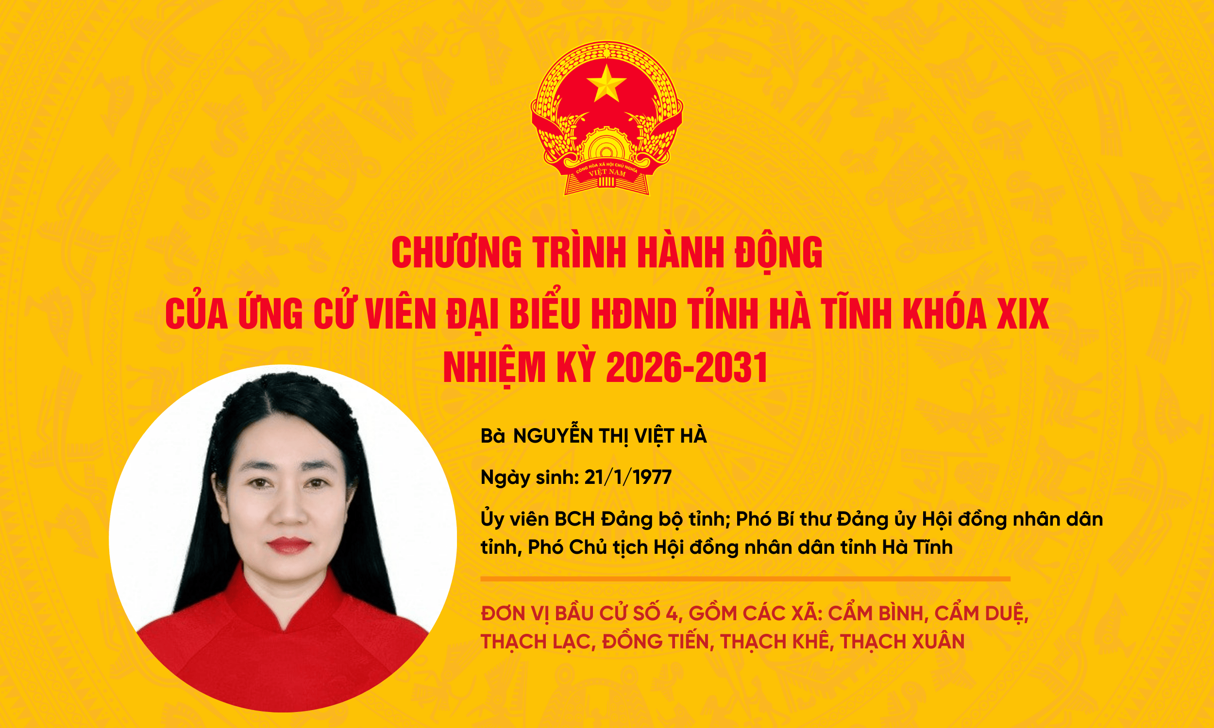 nguyen-thi-viet-ha-2.png