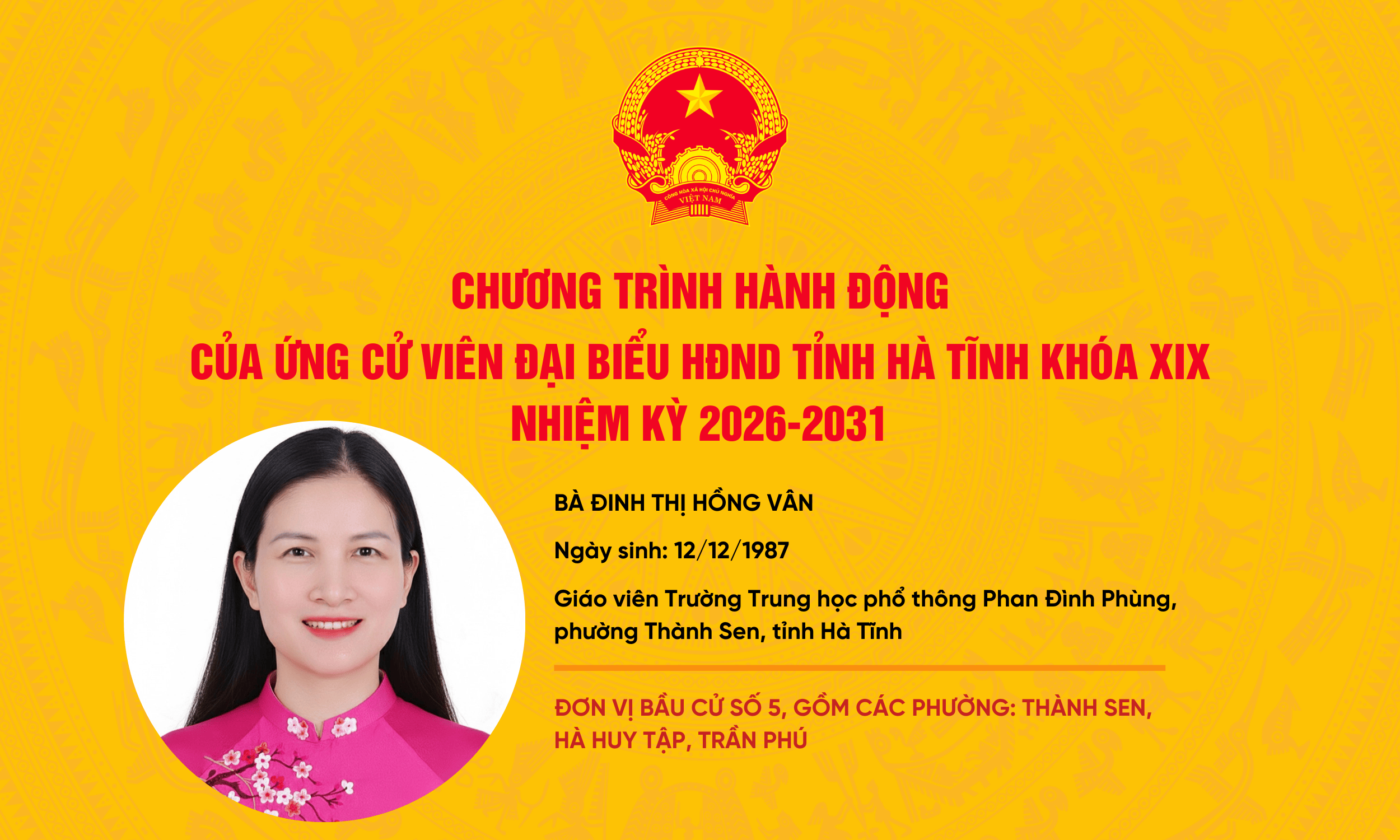 dinh-hong-van.png