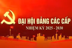 Hướng dẫn công tác nhân sự Ủy ban Kiểm tra tại đại hội Đảng nhiệm kỳ 2025-2030