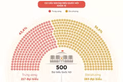 Dự kiến cơ cấu, thành phần đại biểu Quốc hội khóa 16