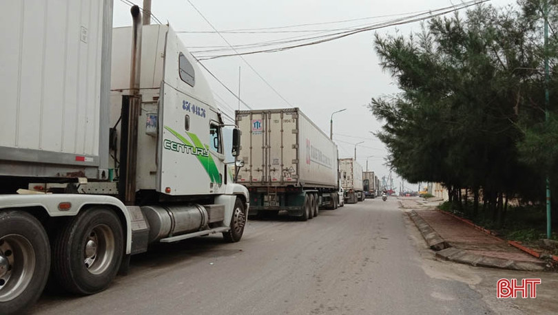 Container nối hàng dài vào “ăn” sò bì tại cảng Cửa Sót