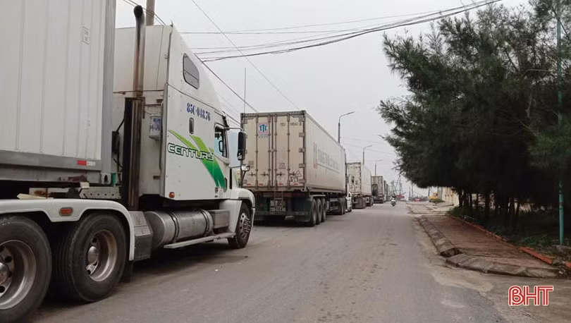 Container nối hàng dài vào “ăn” sò bì tại cảng Cửa Sót