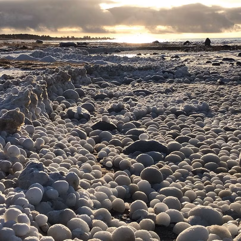 Bờ biển xuất hiện trứng băng kỳ lạ