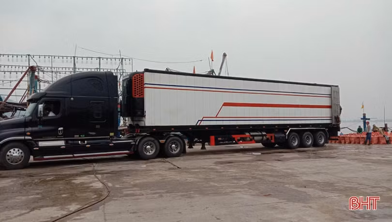 Container nối hàng dài vào “ăn” sò bì tại cảng Cửa Sót