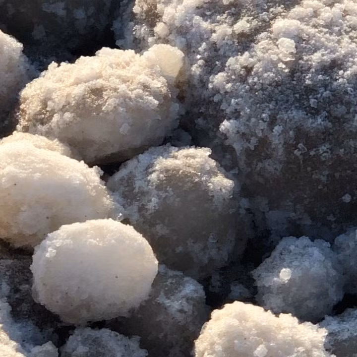 Bờ biển xuất hiện trứng băng kỳ lạ