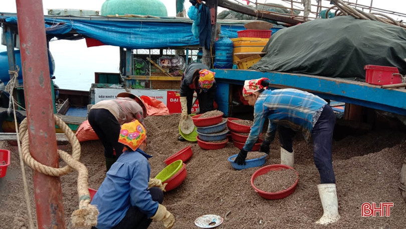 Container nối hàng dài vào “ăn” sò bì tại cảng Cửa Sót