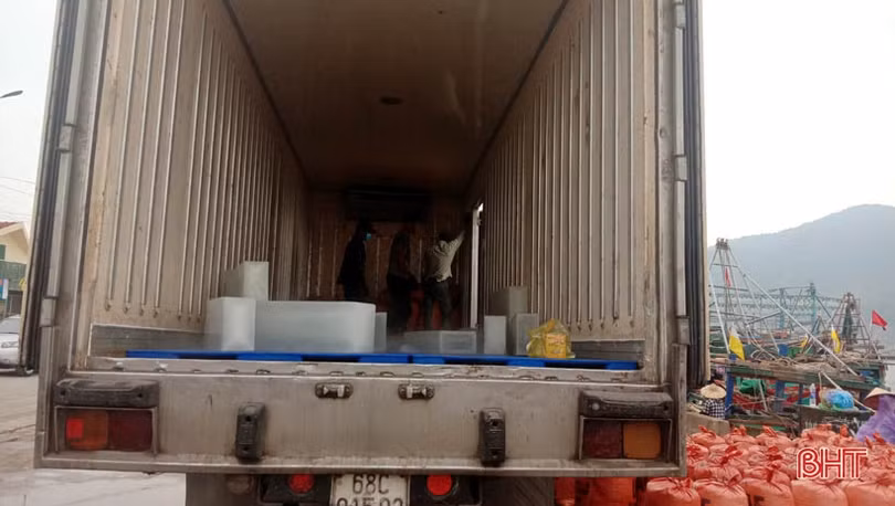 Container nối hàng dài vào “ăn” sò bì tại cảng Cửa Sót