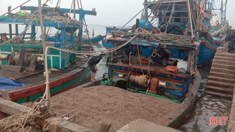 Container nối hàng dài vào “ăn” sò bì tại cảng Cửa Sót