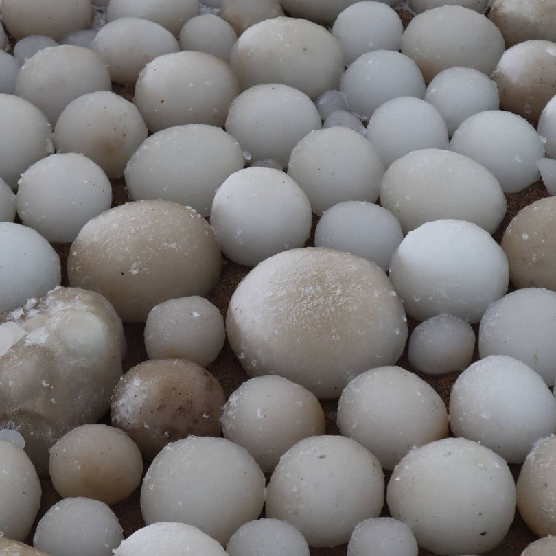 Bờ biển xuất hiện trứng băng kỳ lạ