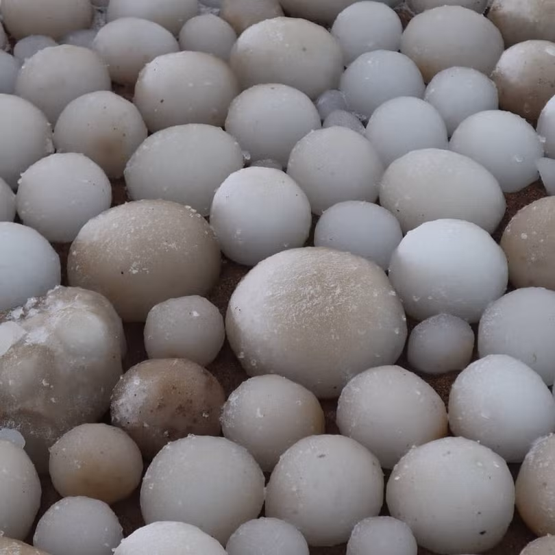 Bờ biển xuất hiện trứng băng kỳ lạ