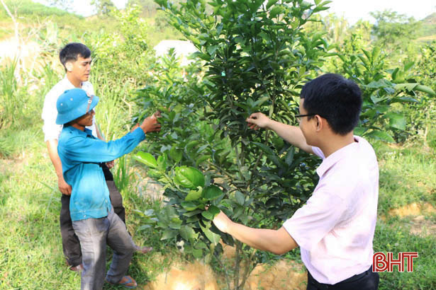 Dư nợ cho vay hộ mới thoát nghèo chiếm tỷ lệ cao 