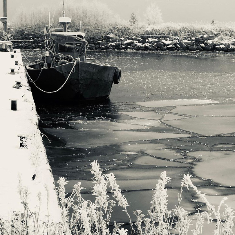 Bờ biển xuất hiện trứng băng kỳ lạ