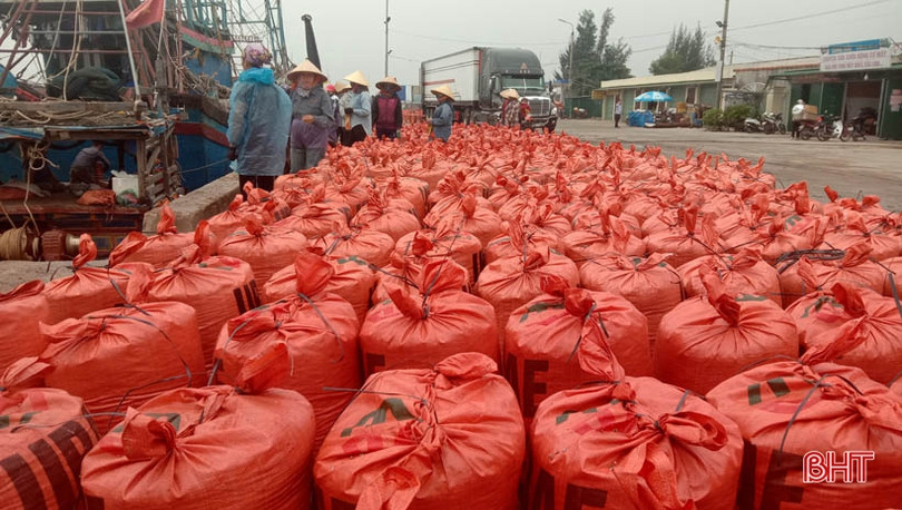 Container nối hàng dài vào “ăn” sò bì tại cảng Cửa Sót