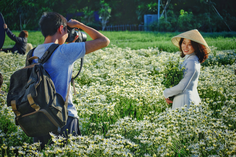 Tháng 11, ta có hẹn với... cúc họa mi