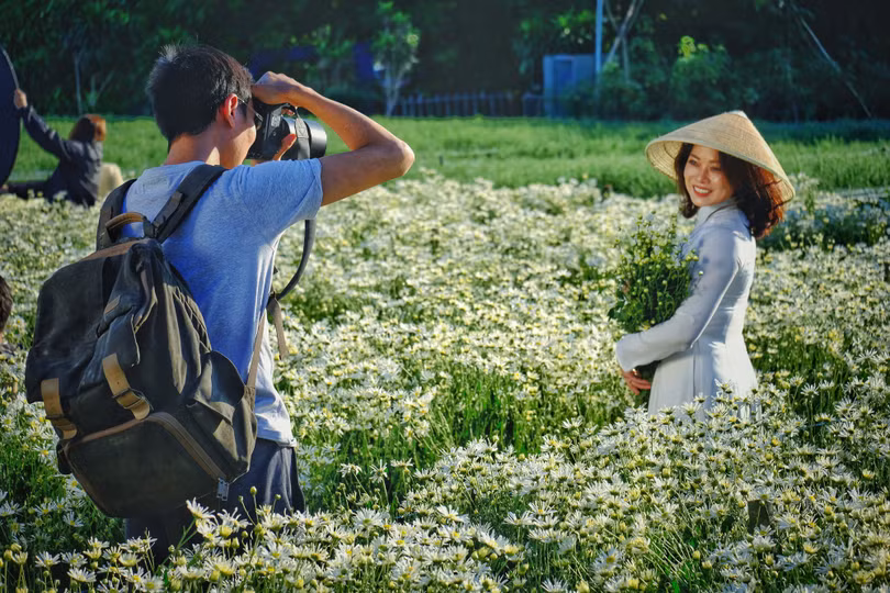 Tháng 11, ta có hẹn với... cúc họa mi