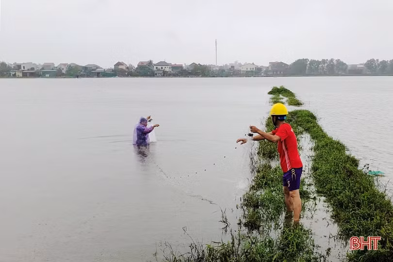 Nguy hiểm rình rập khi bắt cá, vớt củi mùa mưa bão