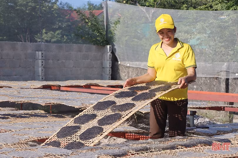 OCOP 3 sao giúp bánh đa vừng Hà Tâm vươn xa