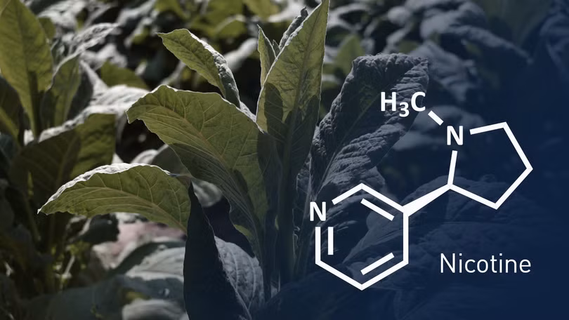 Những nguy cơ tiềm ẩn khi sử dụng thuốc lá điện tử