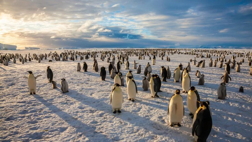 Những vườn quốc gia lớn hơn một đất nước