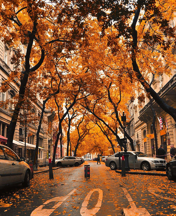 10 “viên ngọc ẩn” của mùa thu ảnh 10 10 “viên ngọc ẩn” của mùa thu