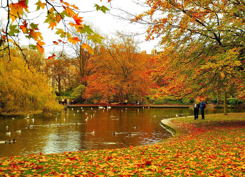 10 “viên ngọc ẩn” của mùa thu ảnh 9 10 “viên ngọc ẩn” của mùa thu