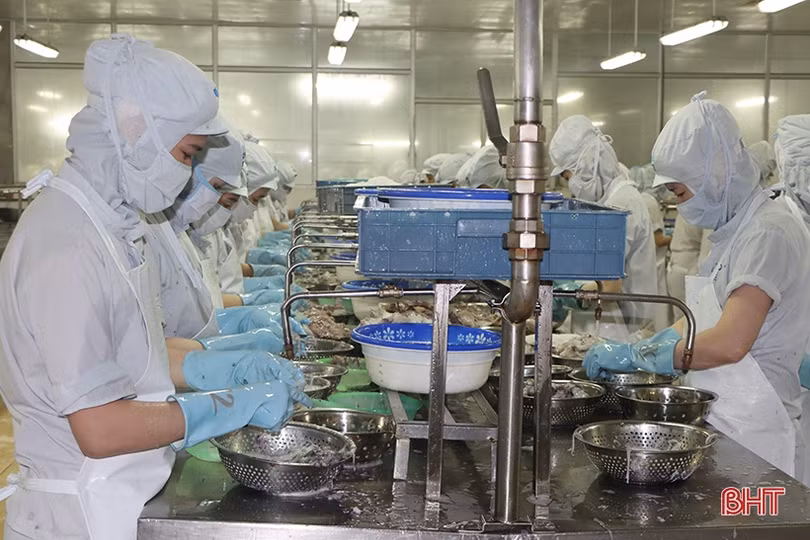 Gian nan mục tiêu 5 triệu đô doanh thu của Thủy sản Nam Hà Tĩnh