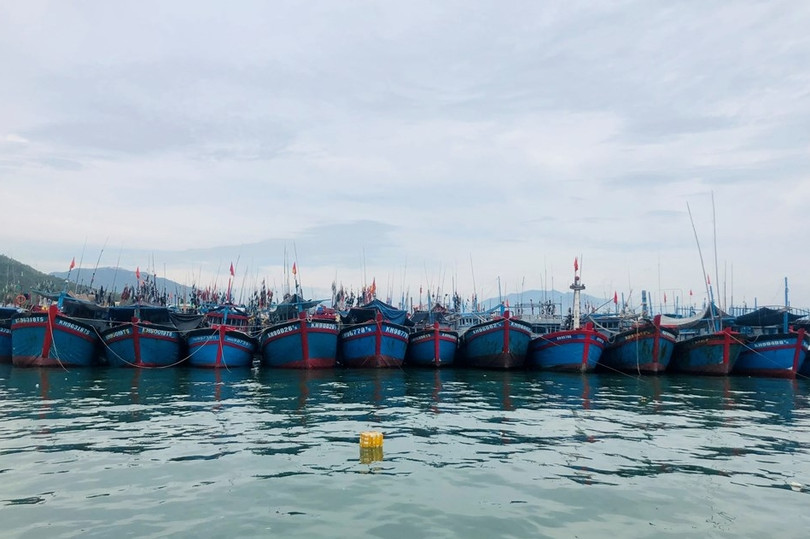 Đoàn thanh tra EC dự kiến sang làm việc về chống khai thác IUU từ ngày 10/10