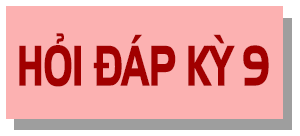 Thế nào là bầu cử dân chủ, đúng pháp luật? ảnh 4 Thế nào là bầu cử dân chủ, đúng pháp luật?
