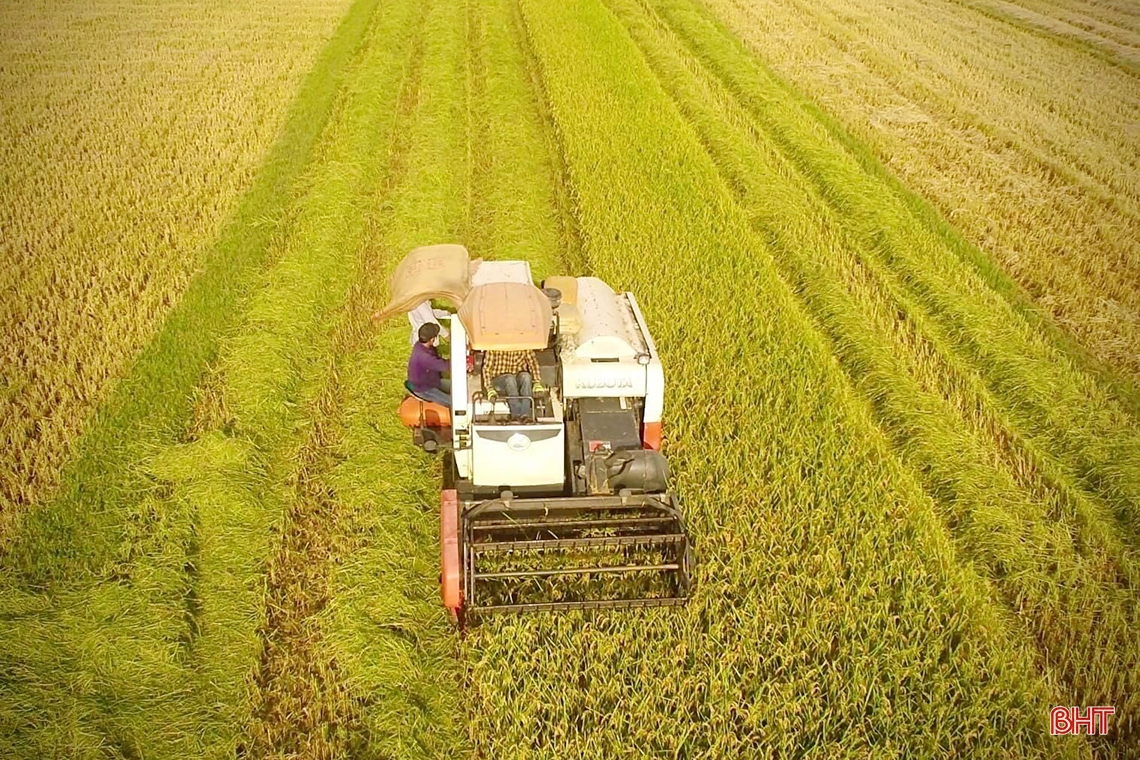 Sản phẩm OCOP - nguồn sinh lực mới cho nông nghiệp Thạch Hà ảnh 1 Sản phẩm OCOP - nguồn sinh lực mới cho nông nghiệp Thạch Hà