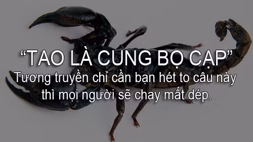 nhung cau noi kinh dien tren mang xa hoi