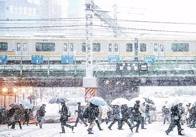 tuyet roi dau mua bien tokyo thanh xu than tien