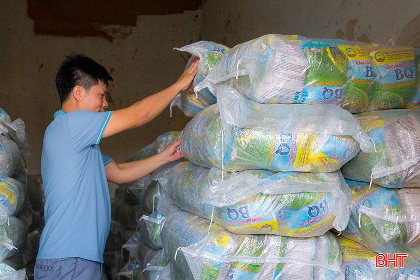 Tỉnh đã quan tâm chỉ đạo các đơn vị cung ứng giống tăng năng lực sản xuất và phân phối, tạo điều kiện để người dân tiếp cận dễ dàng các loại giống đạt chuẩn chất lượng. bqbht_br_img-1647.jpg