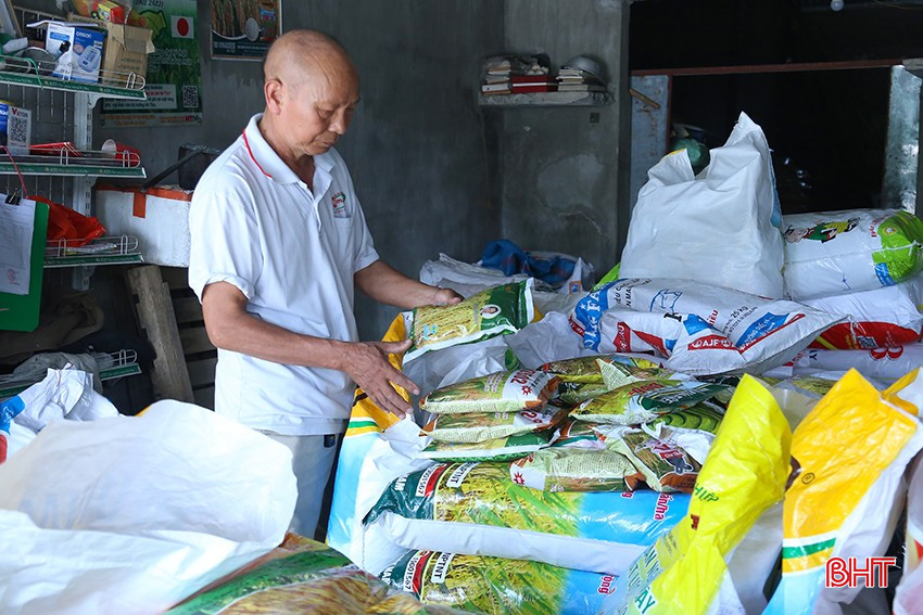 Hoạt động mua bán giống tại các cửa hàng phân phối giống, vật tư nông nghiệp trong vụ hè thu thường kém sôi động hơn vụ xuân. bqbht_br_img-4224.jpg